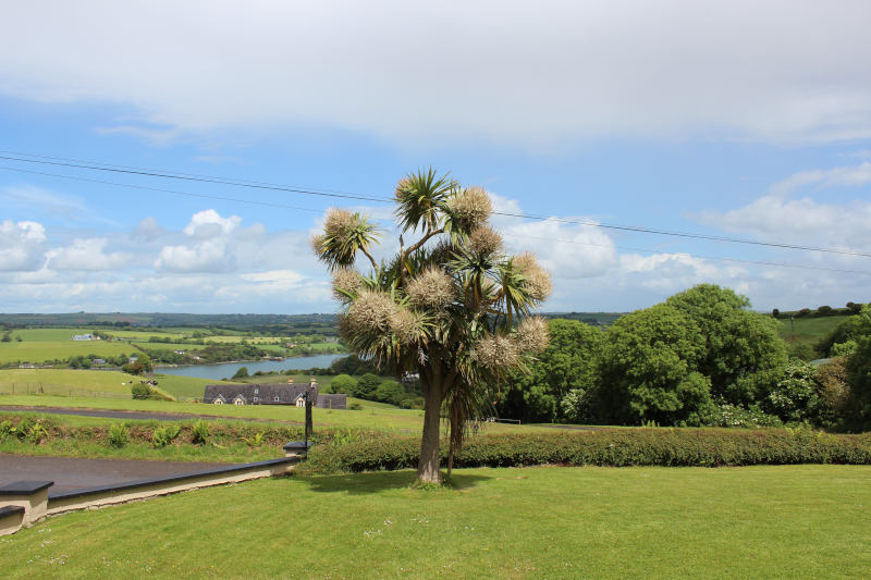 Kinsale Bed & Breakfast Rivermount Dining Arera